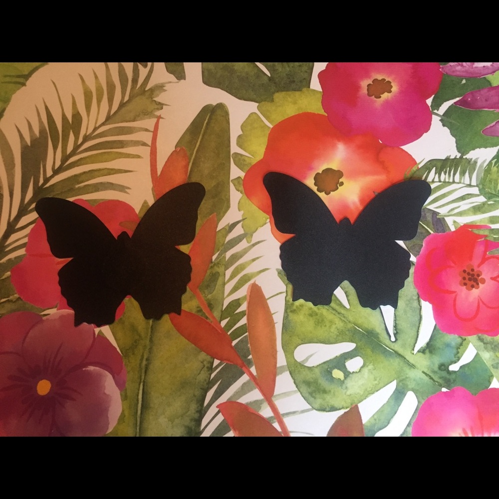๐ฆ Pair of butterfly nipple cover